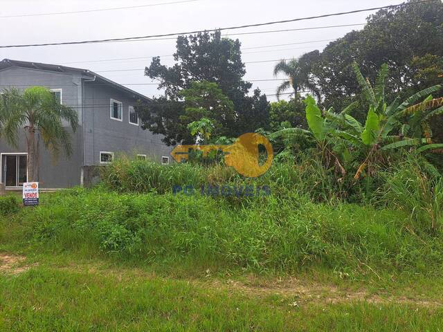 Terreno para Venda em Pontal do Paraná - 4