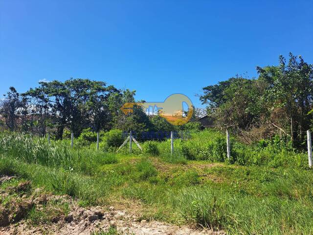 Terreno para Venda em Guaratuba - 5