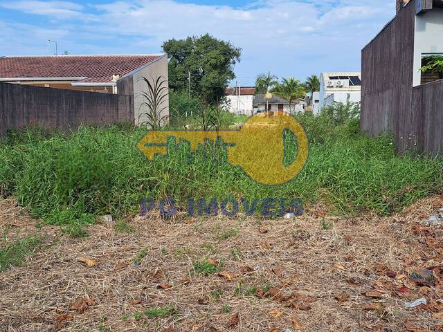 Terreno para Venda em Pontal do Paraná - 4