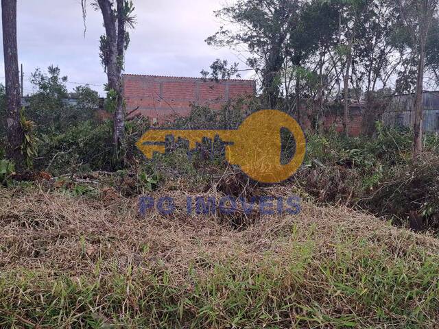 #164 - Área para Venda em Matinhos - PR - 2