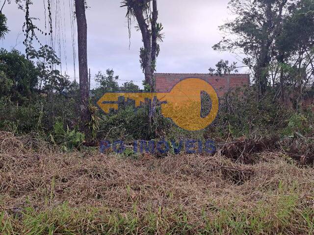 #164 - Área para Venda em Matinhos - PR - 3
