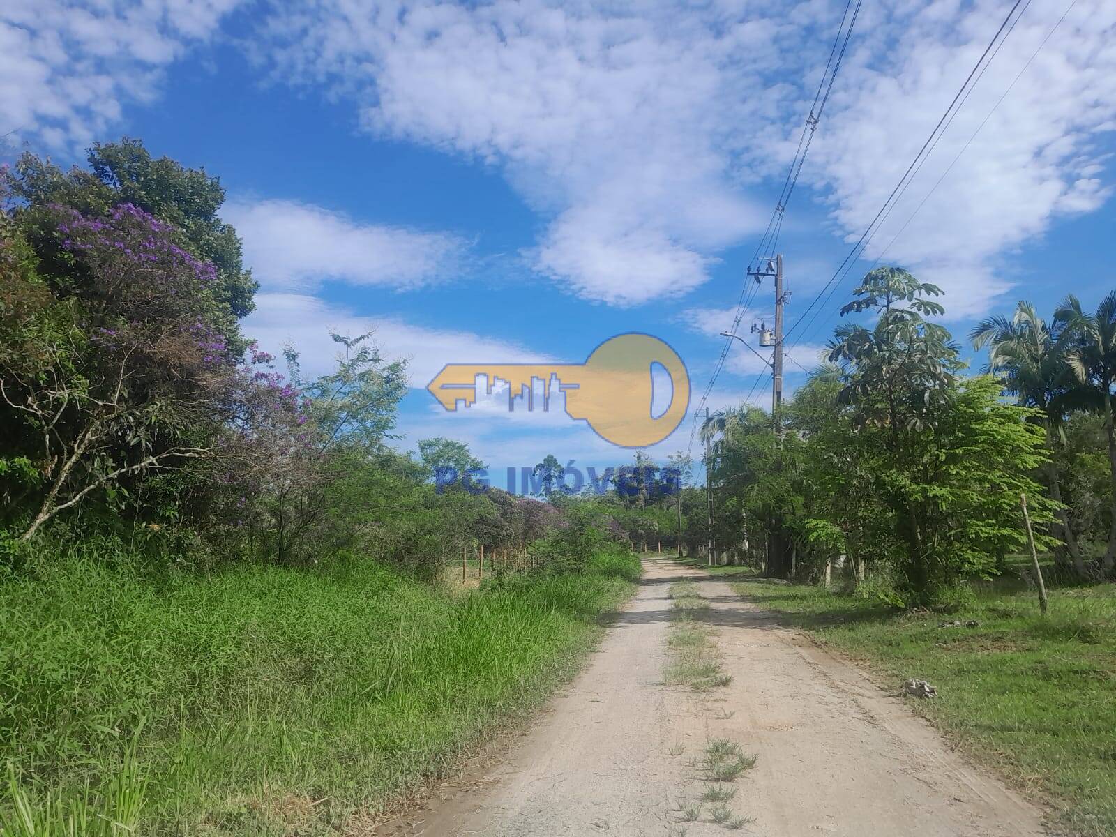 Chácara, 4 quartos, 5947 m² - Foto 50