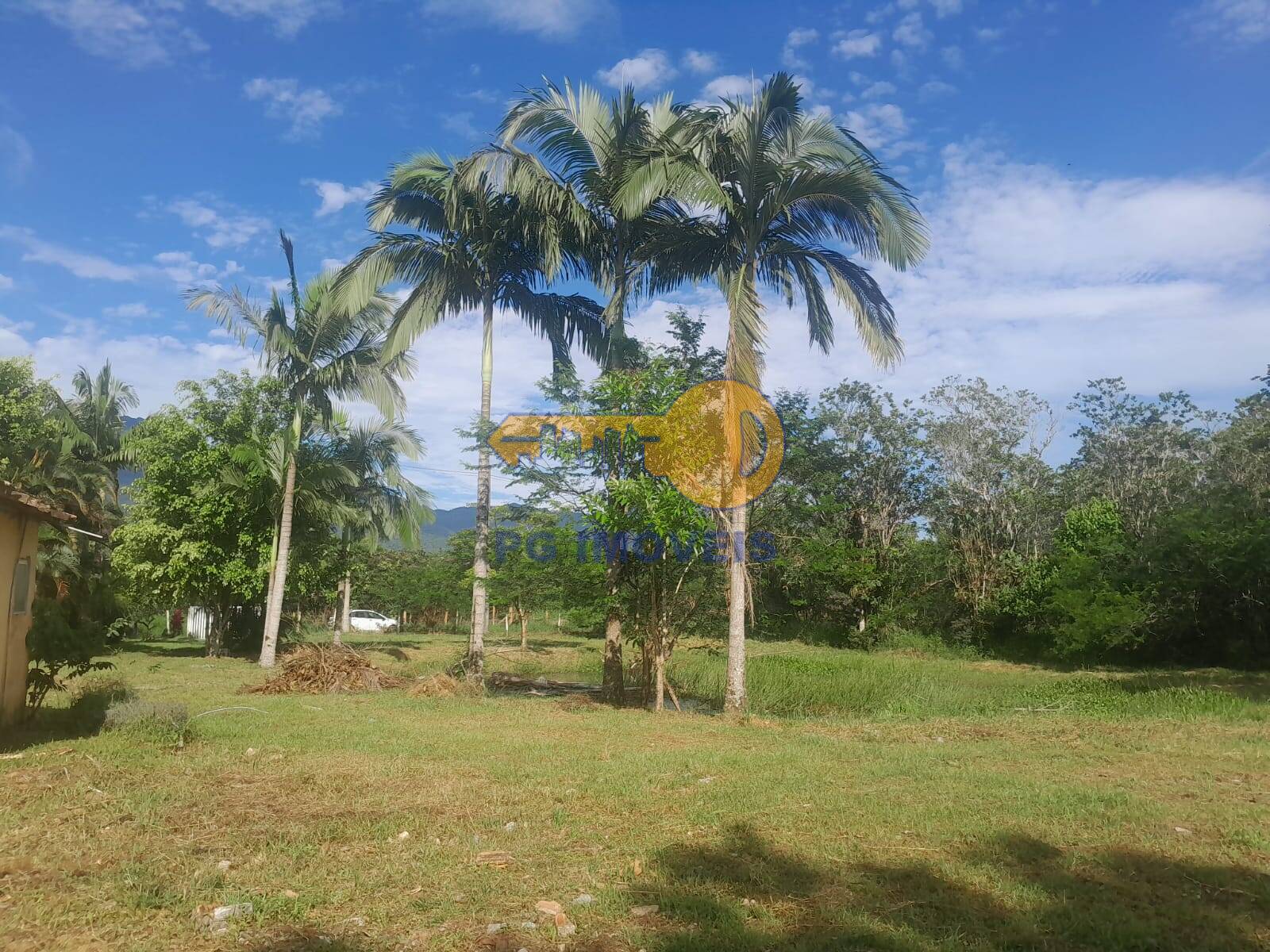 Chácara, 4 quartos, 5947 m² - Foto 49